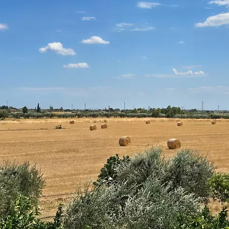 Maurella *